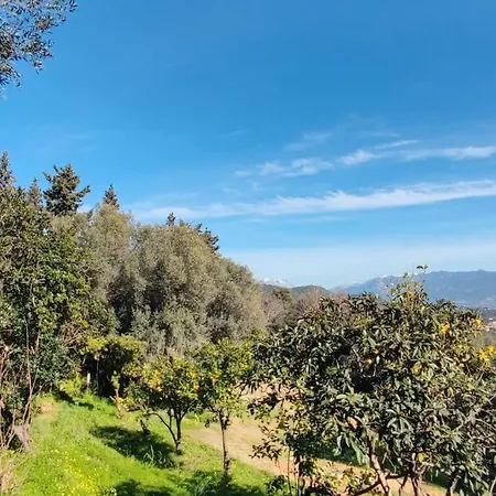 Rez De Villa, Et Sa Terrasse A * Ajaccio