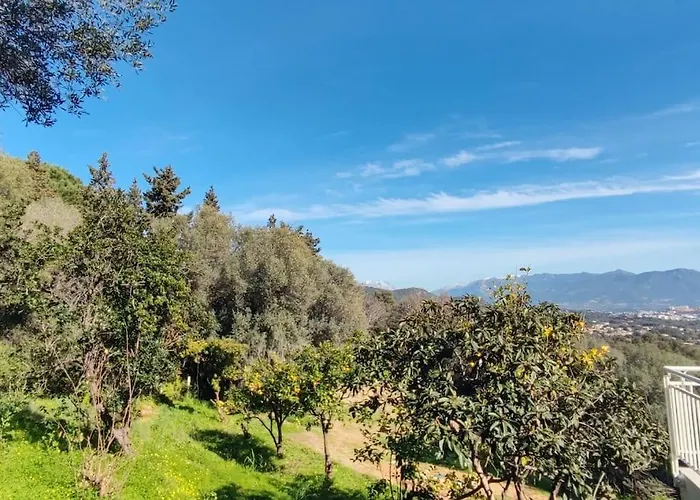 Rez De Villa, Et Sa Terrasse A * Ajaccio (Corsica)